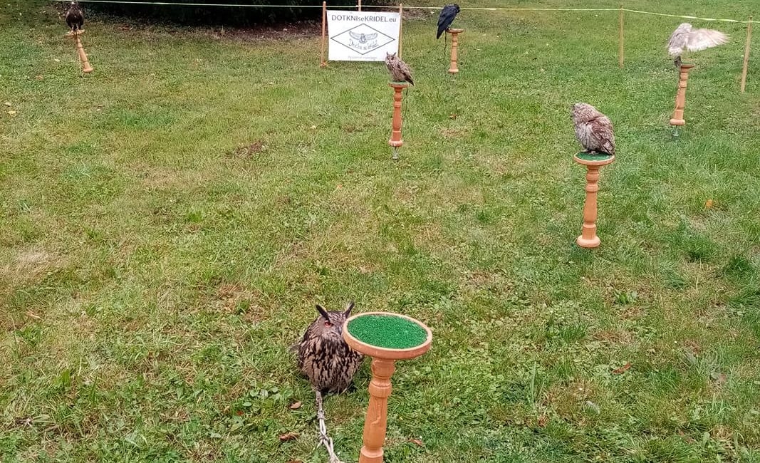 Oslavy lesa na Floře 2019